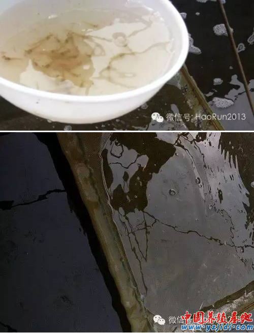 中國養殖基地 yzjidi.com