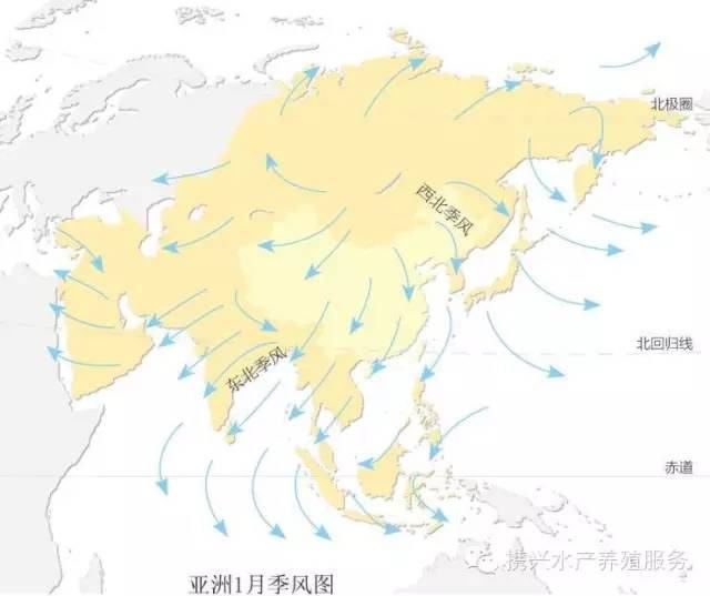 中國養殖基地 yzjidi.com