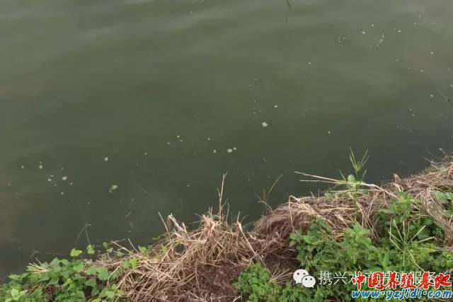 中國養殖基地 yzjidi.com