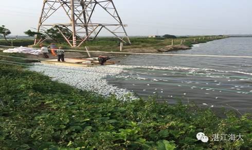 中國養殖基地 yzjidi.com