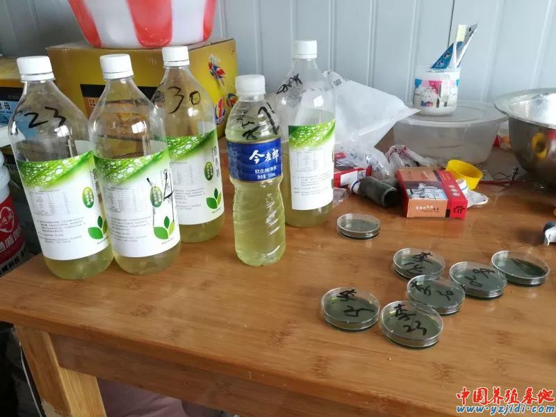 中國養殖基地 yzjidi.com