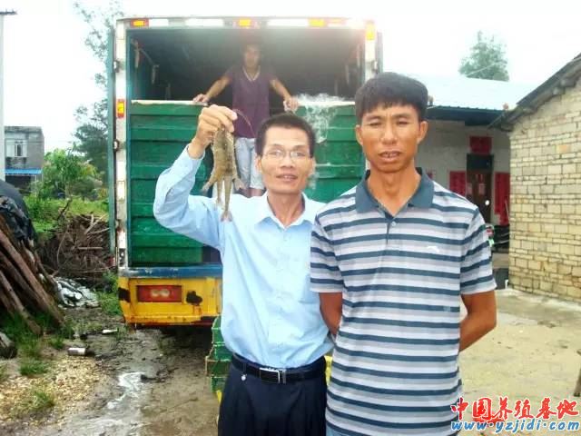 中國養殖基地 yzjidi.com