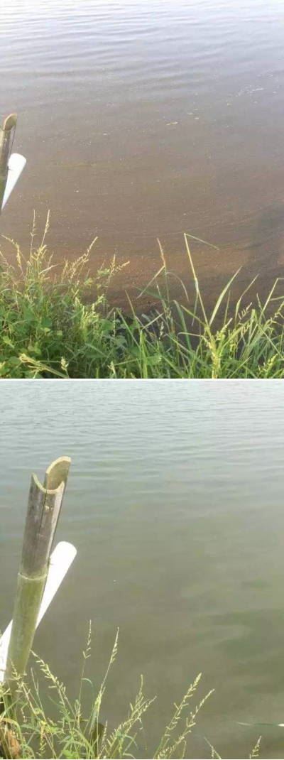 中國養殖基地 yzjidi.com