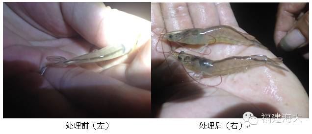 中國養殖基地 yzjidi.com