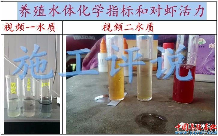 中國養殖基地 yzjidi.com