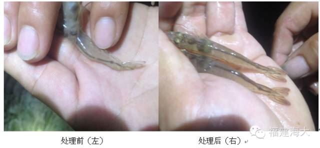 中國養殖基地 yzjidi.com