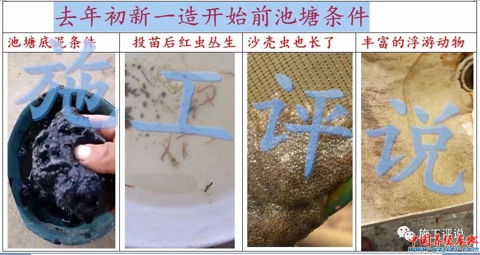 中國養殖基地 yzjidi.com