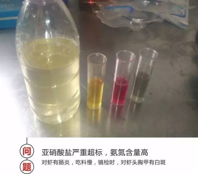 中國養殖基地 yzjidi.com