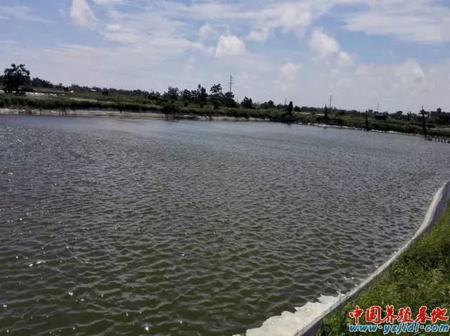 中國養殖基地 yzjidi.com