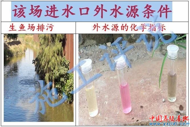 中國養殖基地 yzjidi.com