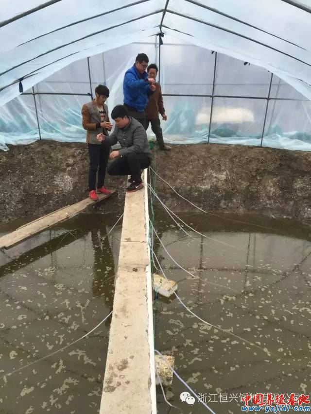 中國養殖基地 yzjidi.com