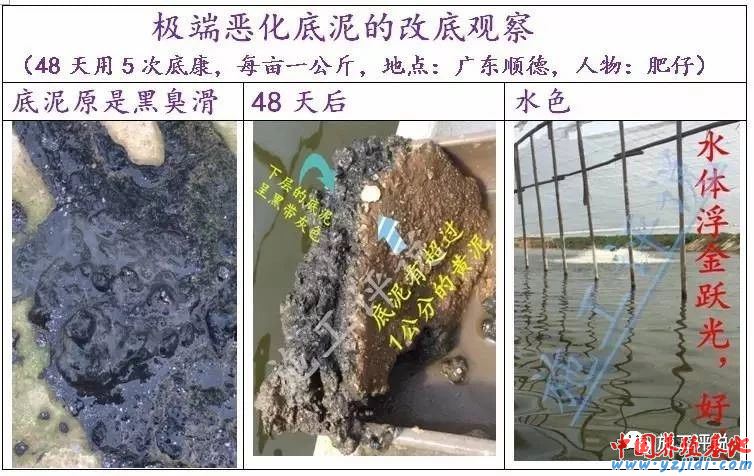 中國養殖基地 yzjidi.com