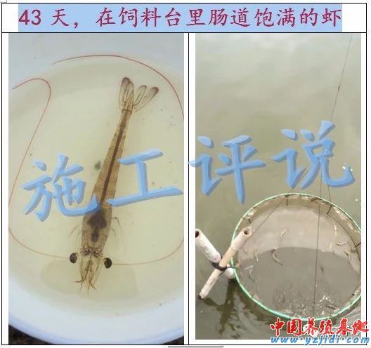 中國養殖基地 yzjidi.com