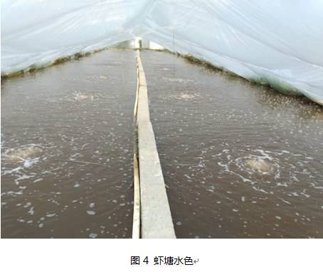中國養殖基地 yzjidi.com