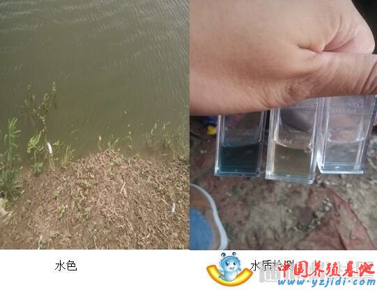 中國養殖基地 yzjidi.com