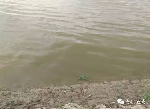 中國養殖基地 yzjidi.com