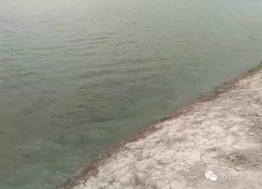 中國養殖基地 yzjidi.com