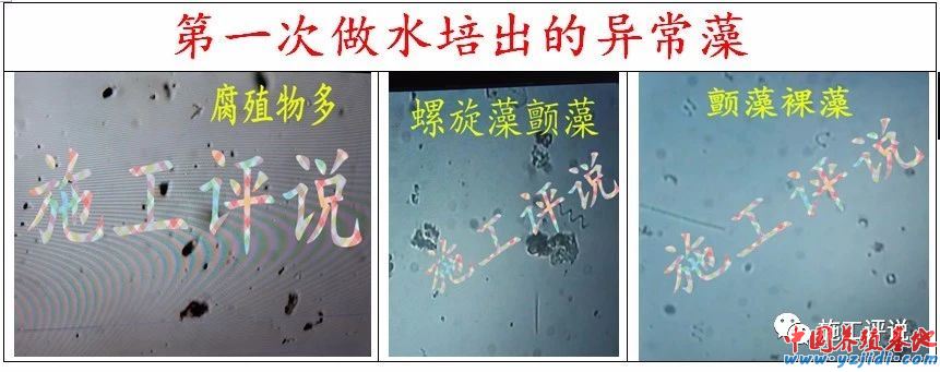 中國養殖基地 yzjidi.com