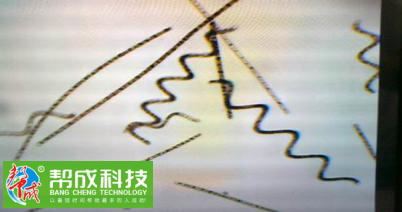 中國養殖基地 yzjidi.com
