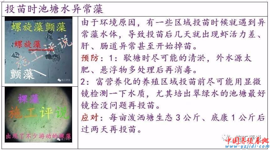 中國養殖基地 yzjidi.com