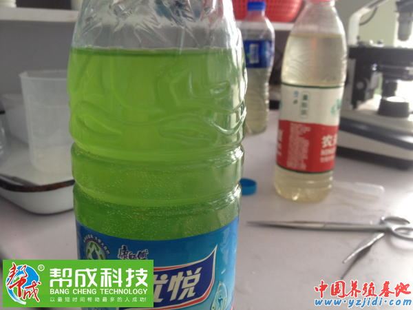 中國養殖基地 yzjidi.com