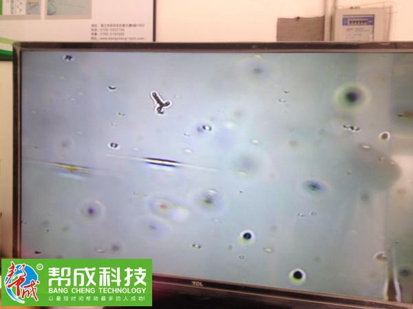 中國養殖基地 yzjidi.com
