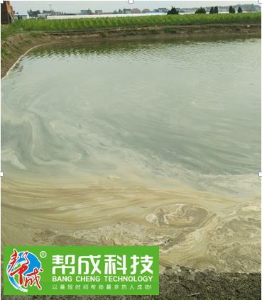 中國養殖基地 yzjidi.com