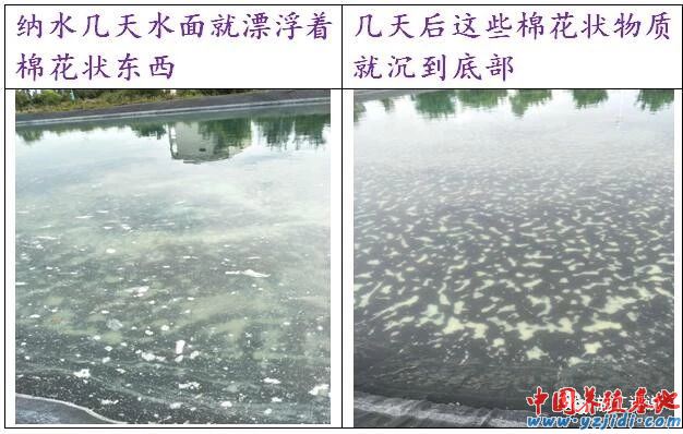 中國養殖基地 yzjidi.com