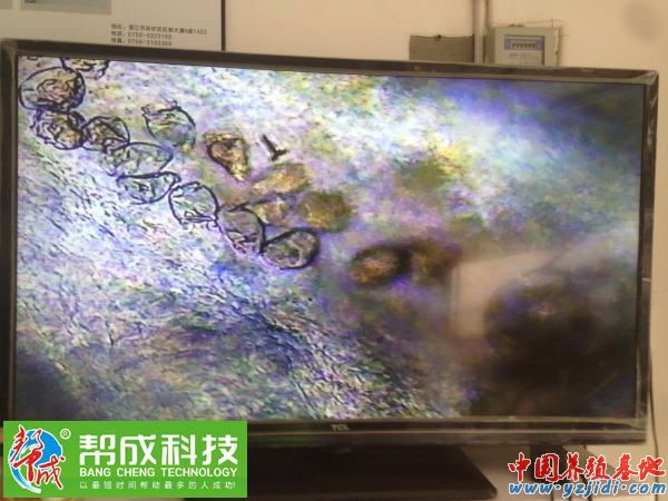 中國養殖基地 yzjidi.com