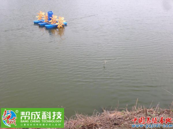 中國養殖基地 yzjidi.com