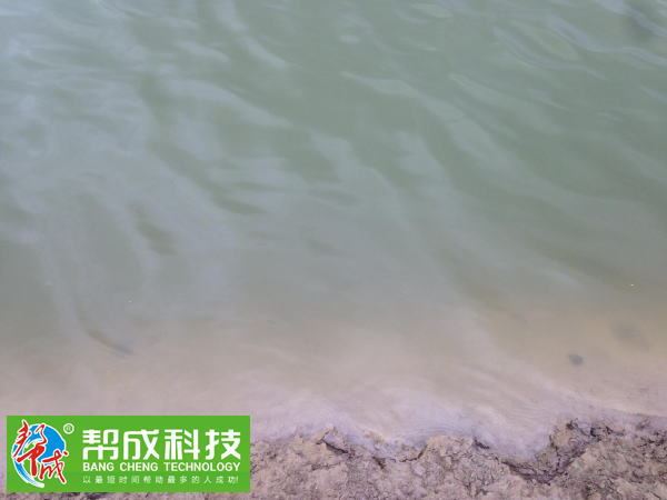 中國養殖基地 yzjidi.com