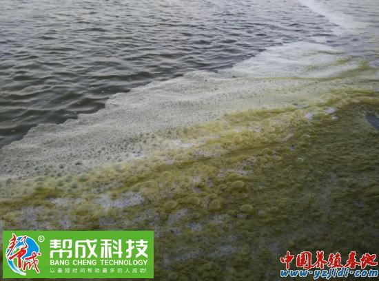 中國養殖基地 yzjidi.com