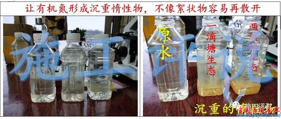 中國養殖基地 yzjidi.com