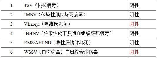 中國養殖基地 yzjidi.com