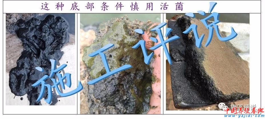 中國養殖基地 yzjidi.com