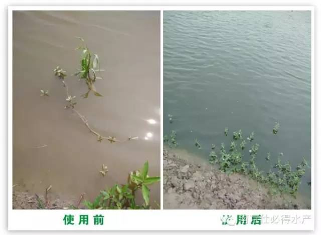 中國養殖基地 yzjidi.com