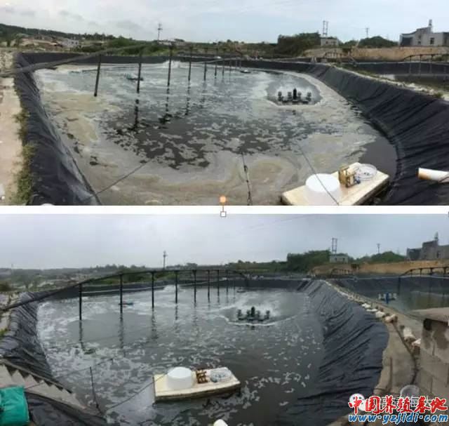 中國養殖基地 yzjidi.com