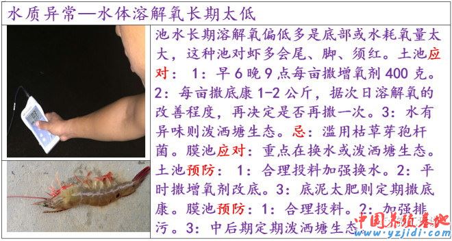 中國養殖基地 yzjidi.com
