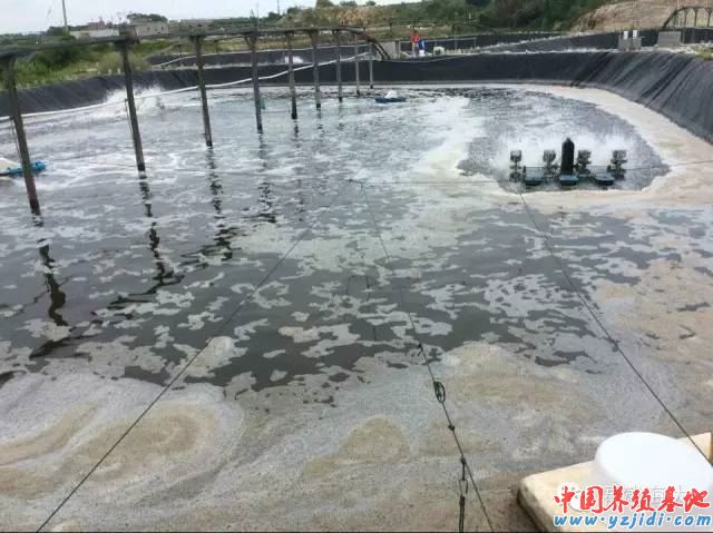 中國養殖基地 yzjidi.com