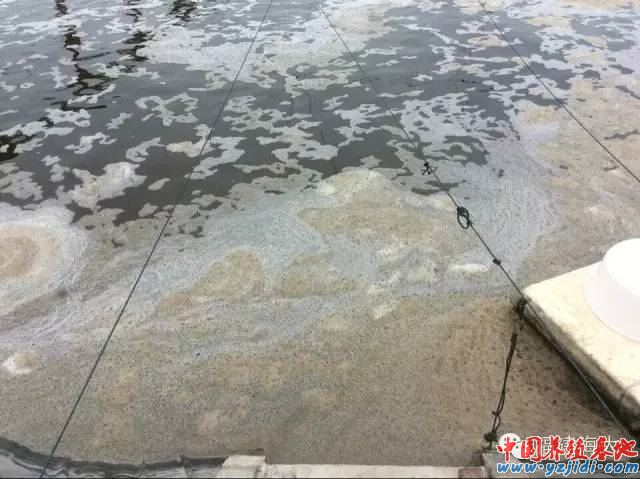 中國養殖基地 yzjidi.com