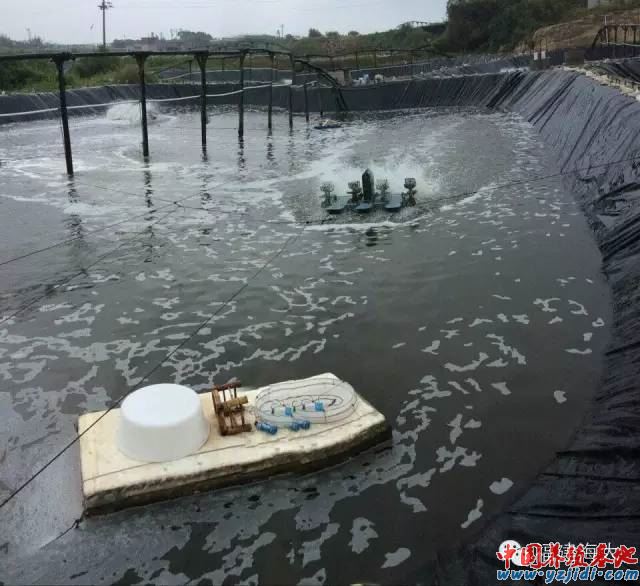 中國養殖基地 yzjidi.com