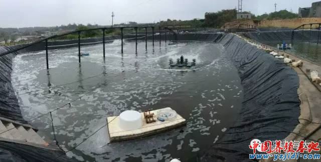 中國養殖基地 yzjidi.com