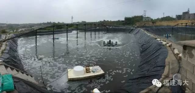中國養殖基地 yzjidi.com
