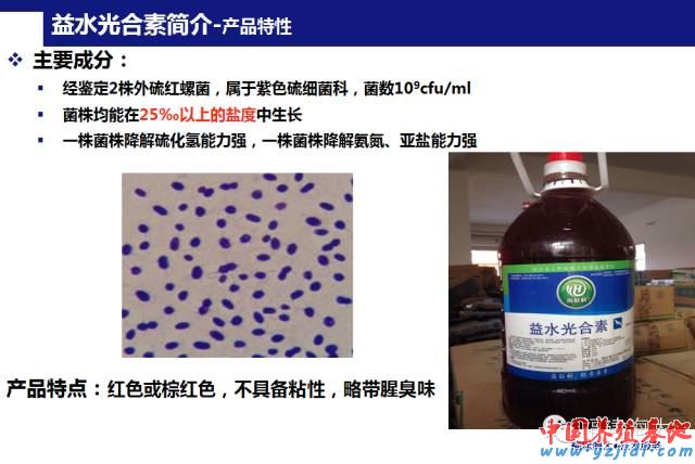 中國養殖基地 yzjidi.com