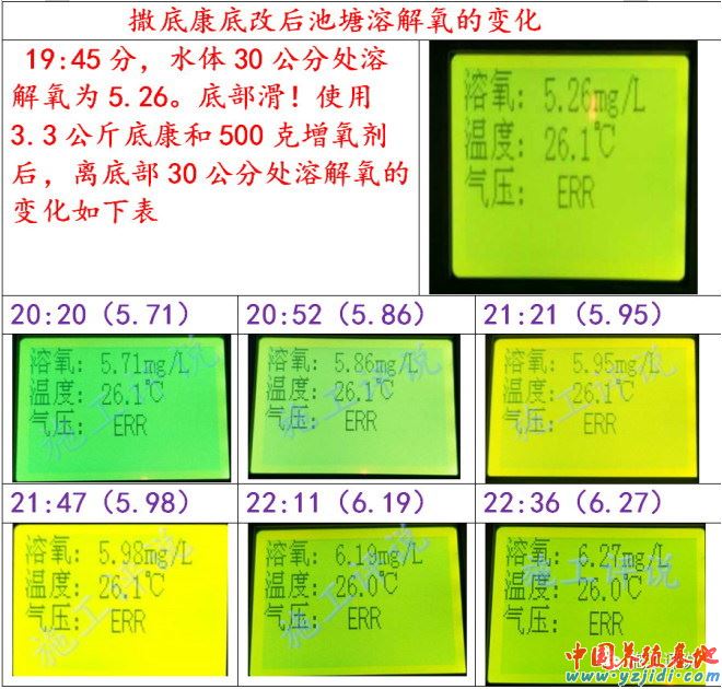 中國養殖基地 yzjidi.com