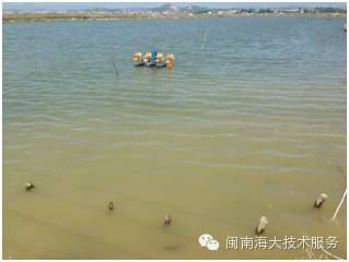 中國養殖基地 yzjidi.com