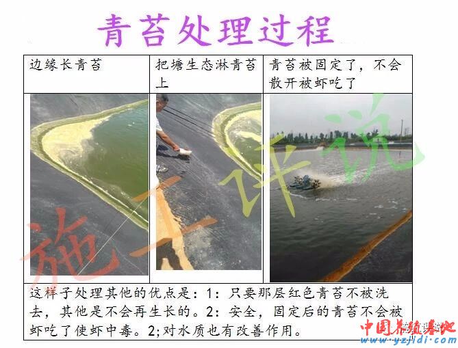 中國養殖基地 yzjidi.com
