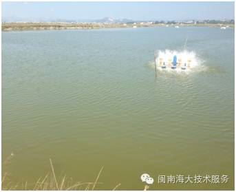 中國養殖基地 yzjidi.com