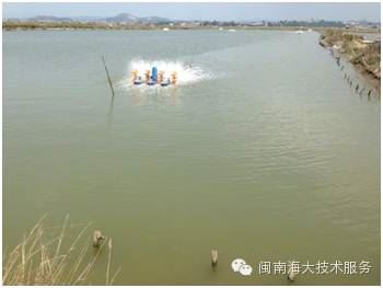 中國養殖基地 yzjidi.com