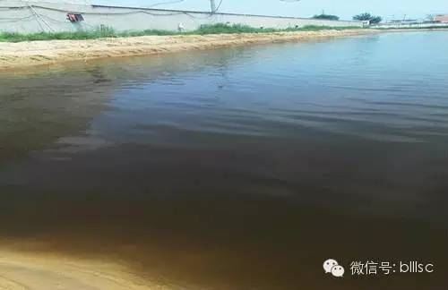 中國養殖基地 yzjidi.com